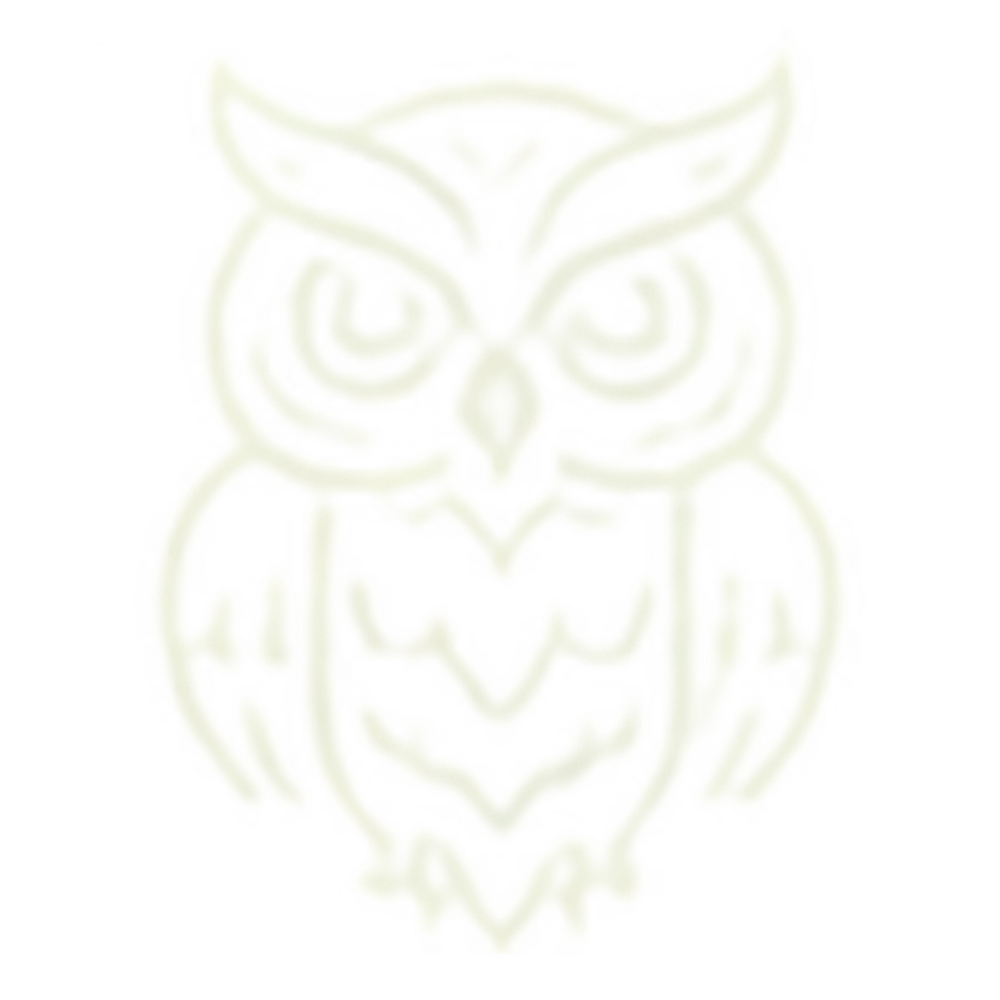 Tattoo Owl